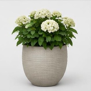 Garden Planter