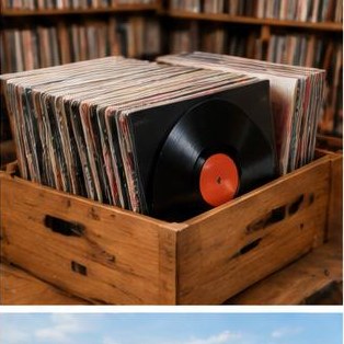 Vinyl Record Collection