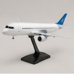 Scale Airliner Model