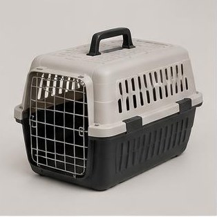 Travel Pet Carrier
